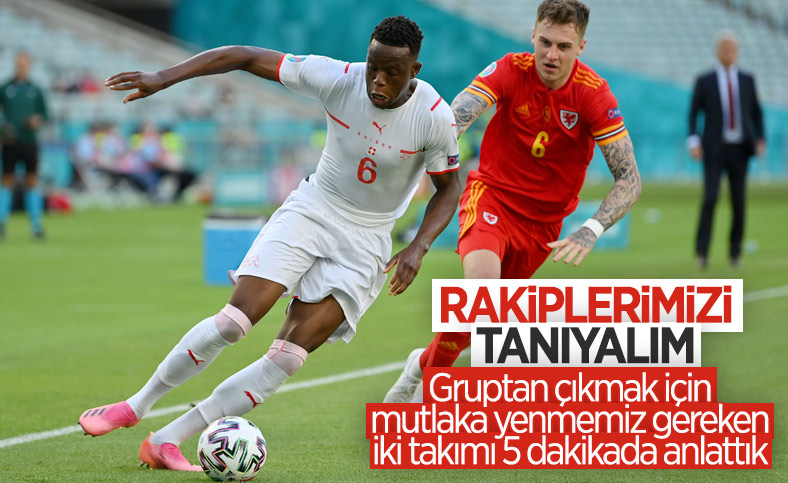 Milli Takımımızın rakipleri: Galler ve İsviçre