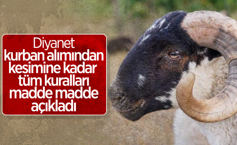 Diyanet'ten kurban kesimi tebliği