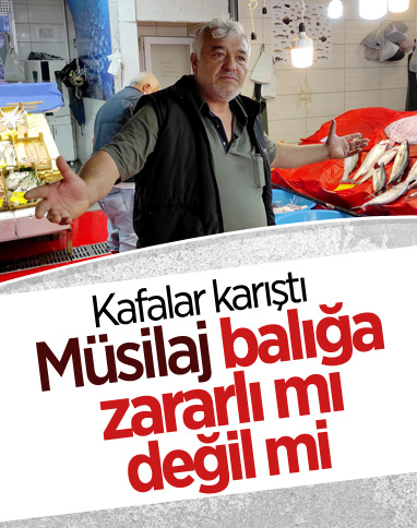 Müsilaj nedeniyle balık satışlarındaki düşüş devam ediyor