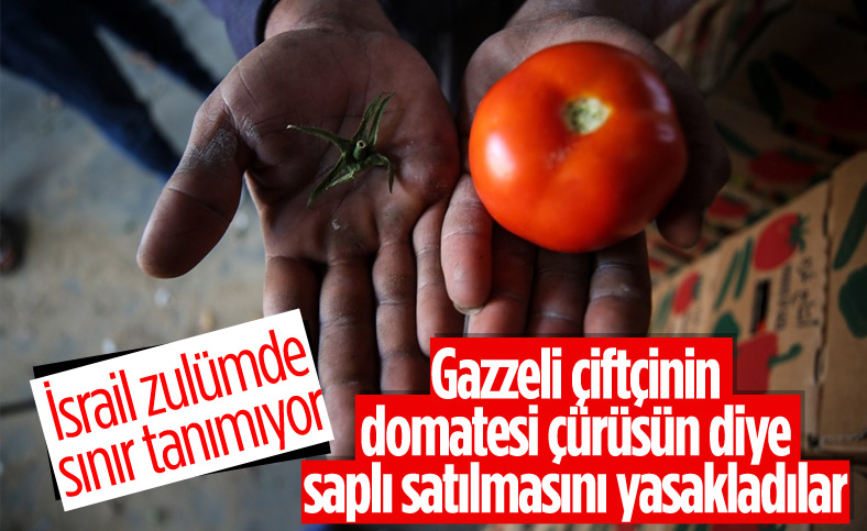 İsrail'den Gazzeli çiftçi ve tüccarlara 'sapsız domates' baskısı