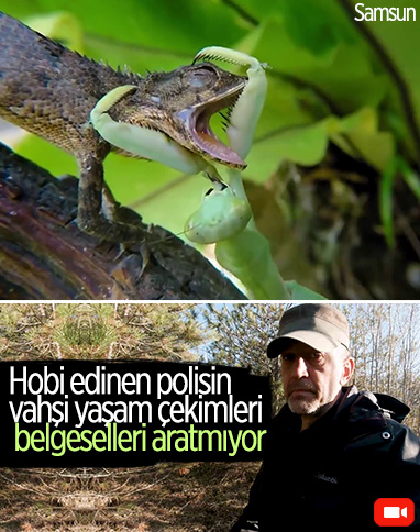 Samsun'daki polis, hobi olarak vahşi yaşamı inceliyor