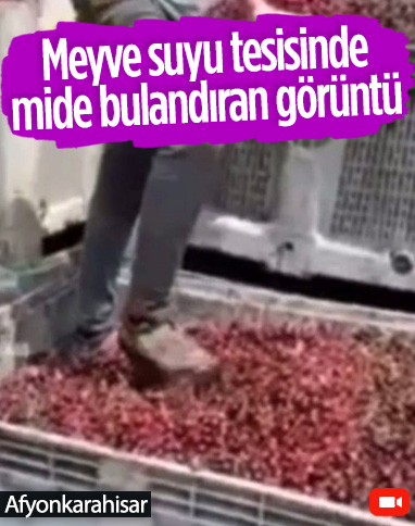 Afyonkarahisar'da meyve suyu tesisinde meyvelerin üzerine ayakkabıyla bastılar