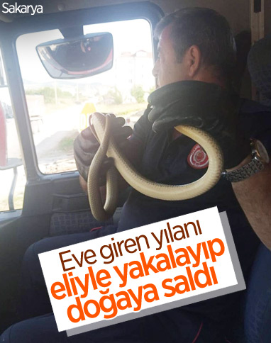 Sakarya'daki itfaiye, eliyle yakaladığı yılanı doğaya saldı