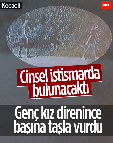 Kocaeli'de genç kıza cinsel istismara kalkışıp, başına taşla vurdu