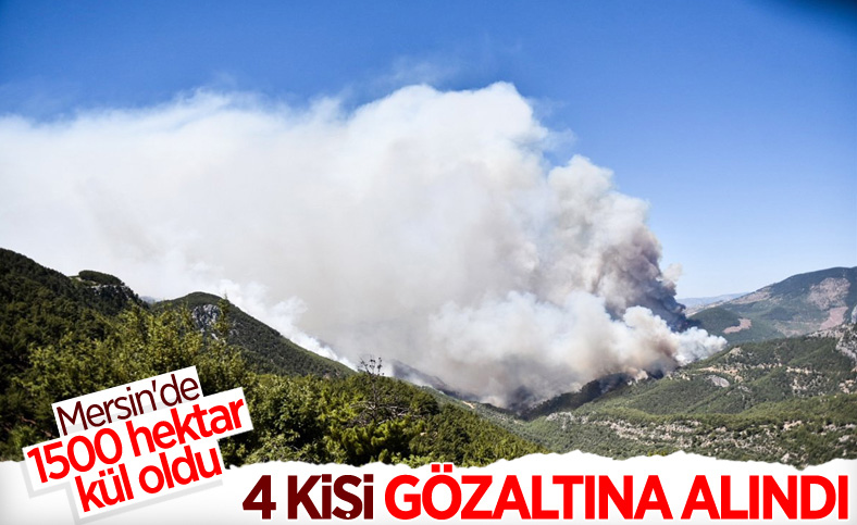 Mersin'deki orman yangınıyla ilgili 4 şüpheli gözaltına alındı