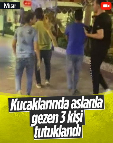 Mısır’da sokakta aslanla gezen 3 kişi tutuklandı