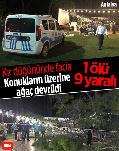 Antalya'da kır düğününde ağacın devrilmesi sonucu 1 kişi öldü