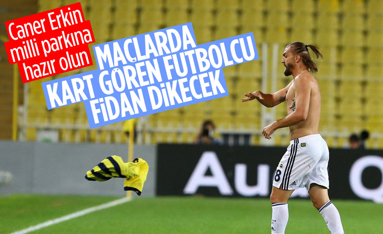 TFF: Yeni sezonda kart başına fidan dikilecek