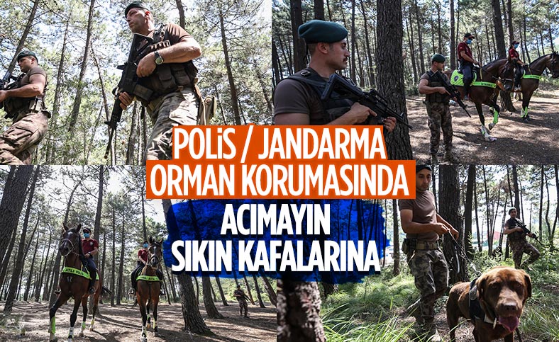 İstanbul polisinden, orman yangınlarına karşı helikopter destekli güvenlik önlemi