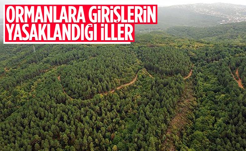 Ormana giriş yasağı alınan iller