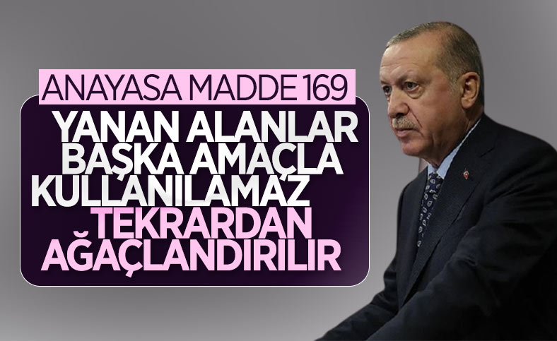 Cumhurbaşkanı Erdoğan: Yanan alanlar başka amaçla kullanılamaz