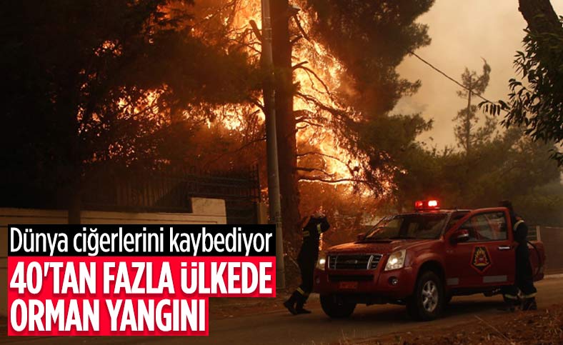 40’tan fazla ülkede ormanlar alev alev