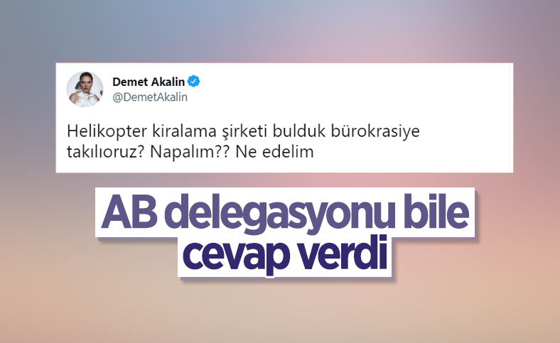 AB Türkiye Delegasyonu, Demet Akalın'ın sorusunu cevapsız bırakmadı