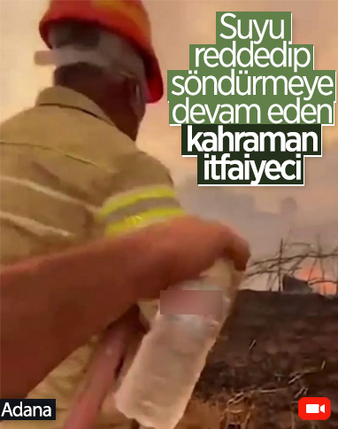 Adana'da bir itfaiye eri, su içmeyi reddedip yangına müdahaleye devam etti