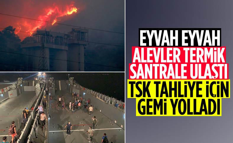 Milas'taki yangın termik santrale ulaştı