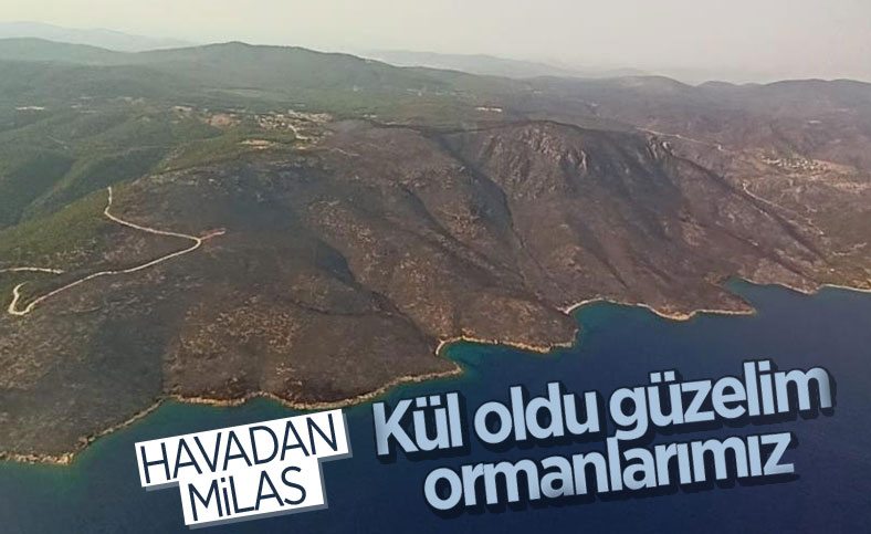 Yangın sonrası Muğla gökyüzünden böyle görüntülendi