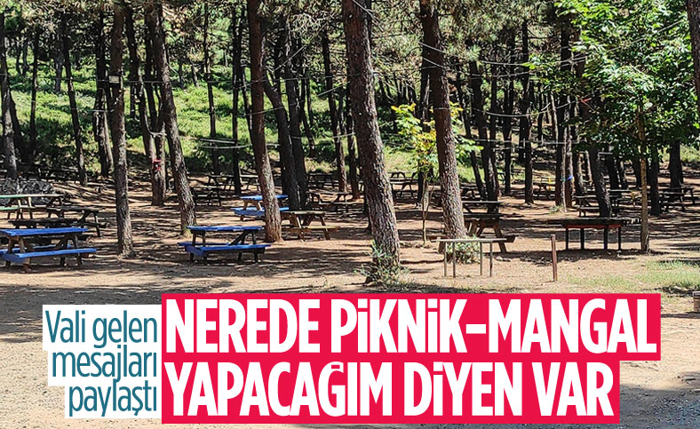 Kocaeli Valisi Seddar Yavuz: Türkiye yanıyor, piknik günü mü