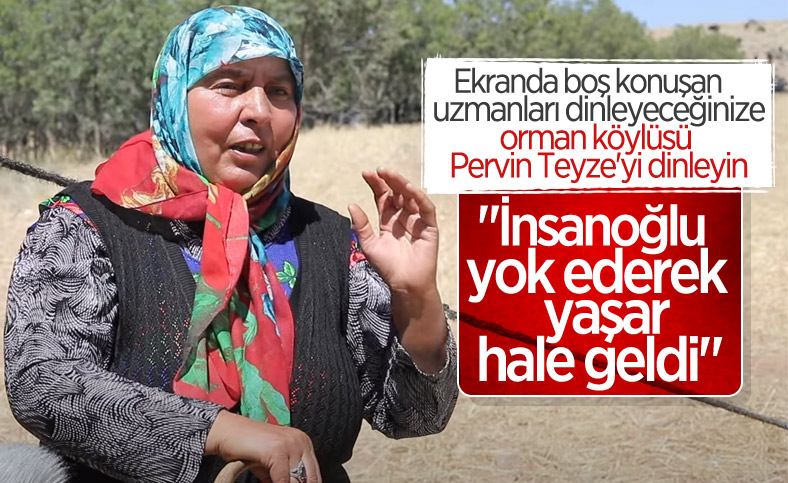 Pervin Çoban Savran orman yangınlarının sebebini anlattı