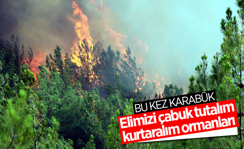 Karabük'te orman yangını çıktı