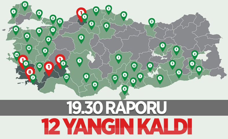 Orman yangınlarıyla mücadelede son durum