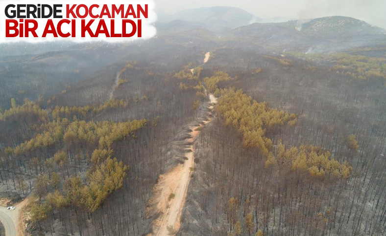 Muğla’da yanan ormanlık bölge havadan görüntülendi