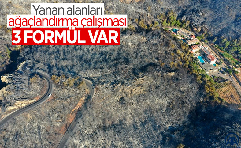 Orman yangınlarıyla tahrip olan bölgeler, 3 yöntemle ağaçlandırılacak