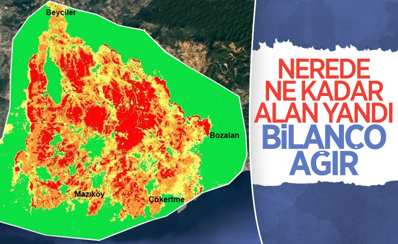 Orman yangınlarının etkili olduğu alanlar haritalandırıldı