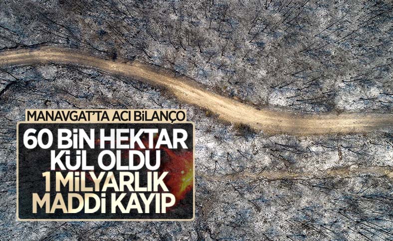 Manavgat'ta yanan 60 bin hektar ormanlık alanda 1 milyar TL'lik zarar oluştu