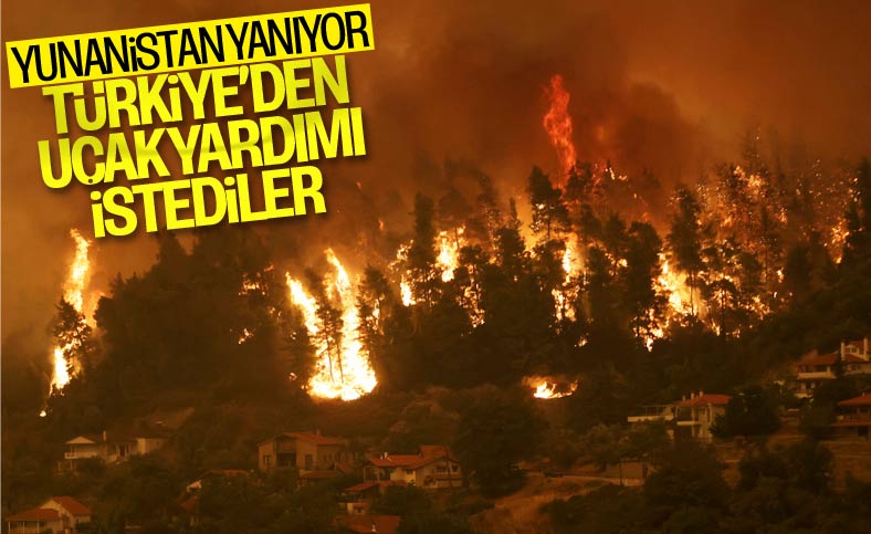 Bekir Pakdemirli: Yunanistan'ın uçak talebi var, değerlendirmeye çalışıyoruz