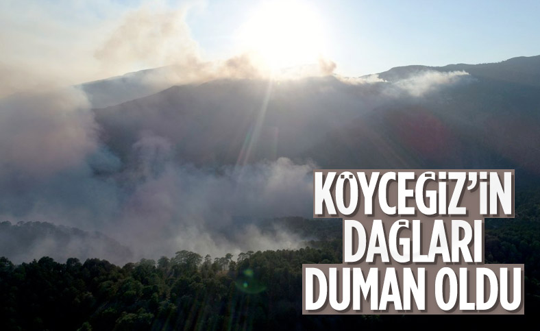 Köyceğiz'deki yangın, Sandras Dağları'nı dumanla kapladı