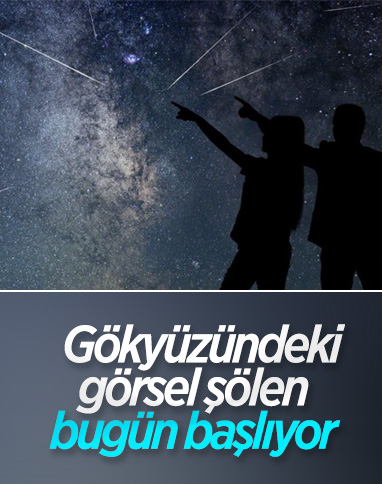 Perseid meteor yağmuru, bugünden itibaren izlenebilecek