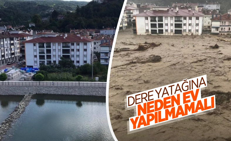 Kastamonu'da sel felaketinin boyutunu anlatan kare