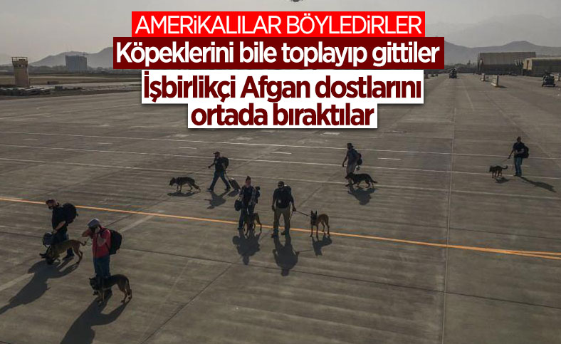 ABD, asker köpeklerini uçakla tahliye etti