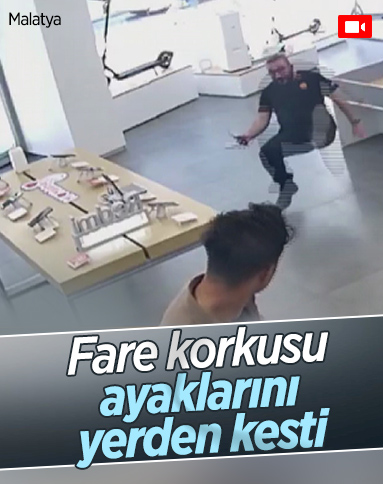 Malatya'da iş yerine giren fare, çalışanı yere serdi