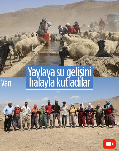 Van'da besiciler, yaylaya su getirilişini halayla kutladı