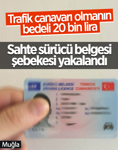 Muğla'da sahte sürücü belgesi operasyonu