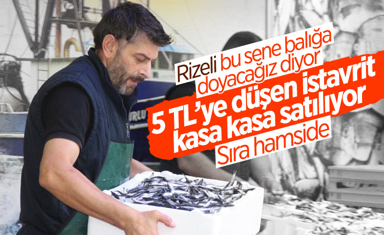 Rize’de kilosu 5 TL'ye düşen istavrit, kasalarla satılıyor