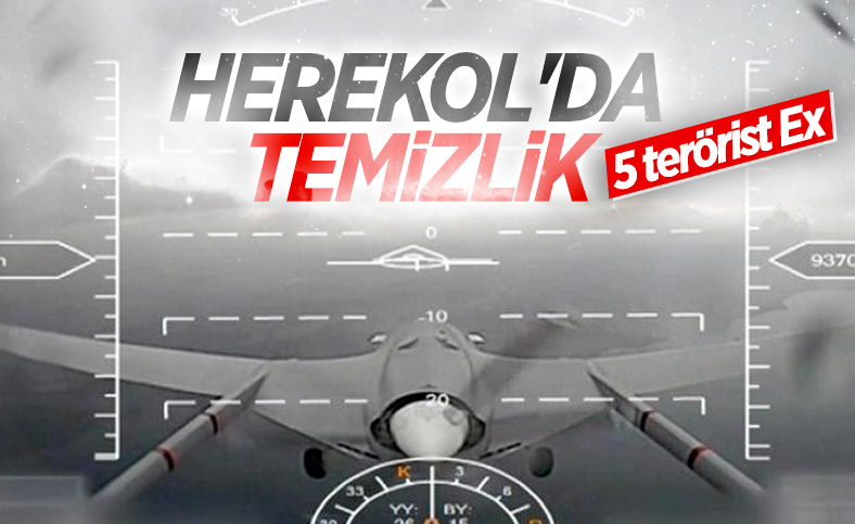 Siirt'te 5 terörist etkisiz hale getirildi