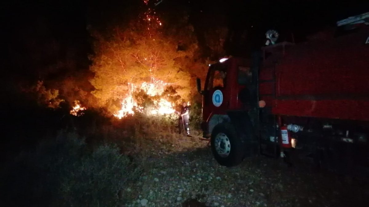 Manavgat'ta başlayan yangın kontrol altına alındı