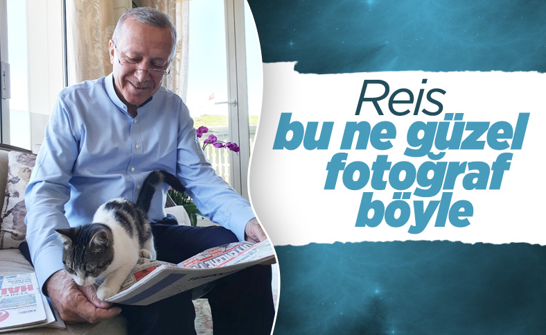 Cumhurbaşkanı Erdoğan’dan tatil günü paylaşımı