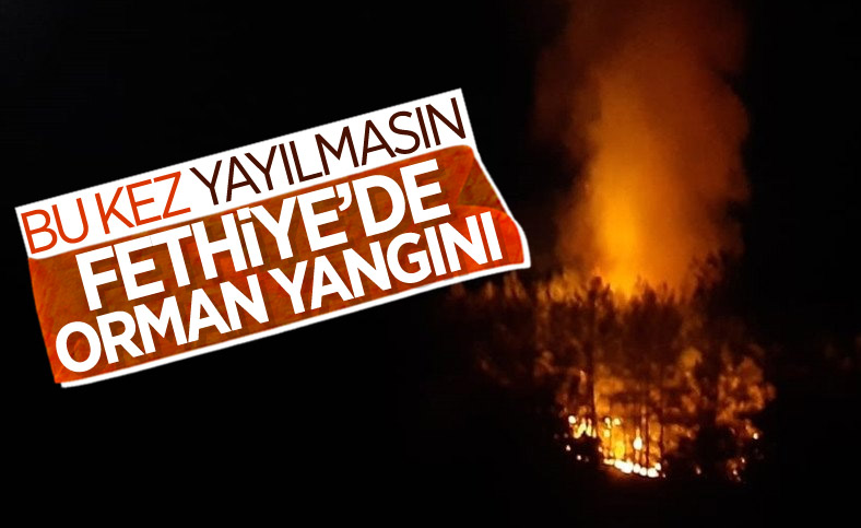Fethiye'de orman yangını