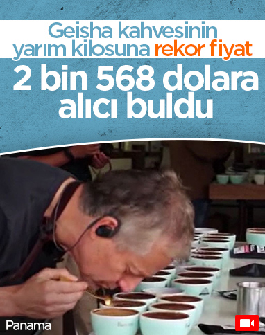 Panama’da, Geisha kahvesinin yarım kilosu rekor fiyata satıldı