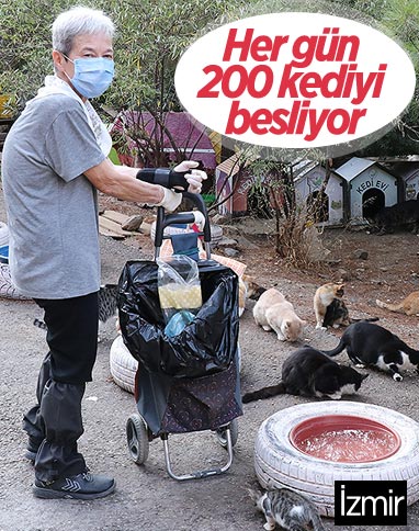İzmir'de yaşayan emekli kadın günde 200 kediyi besliyor