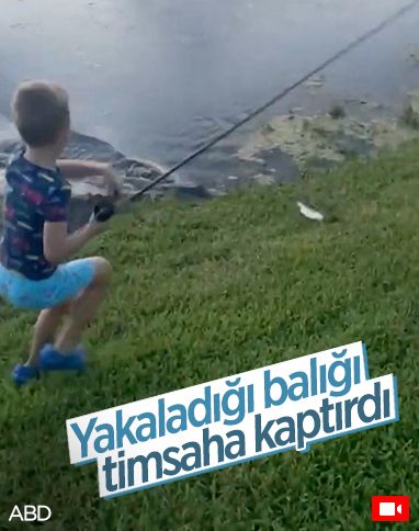 ABD'de yakaladığı balığı timsaha kaptıran çocuk