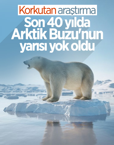 Arktik Deniz Buzu son 40 yılda yüzde 50 eridi
