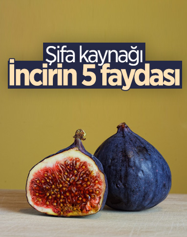 Şifa dolu incirin 5 inanılmaz faydası