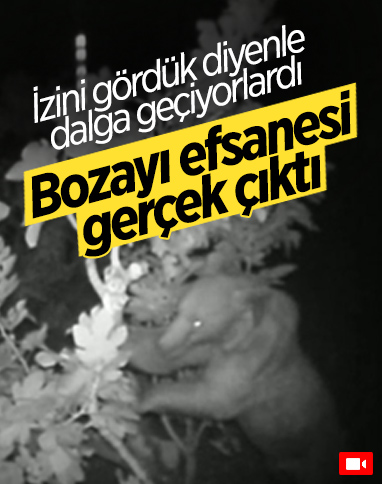 Burdur'daki köy efsanesi bozayı, fotokapana yansıdı