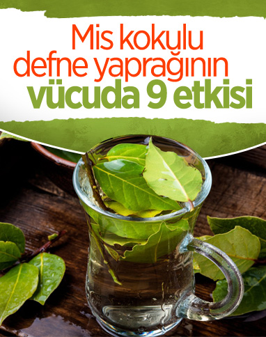 Defne yaprağı tüketmenin vücuda sağladığı 9 önemli etki