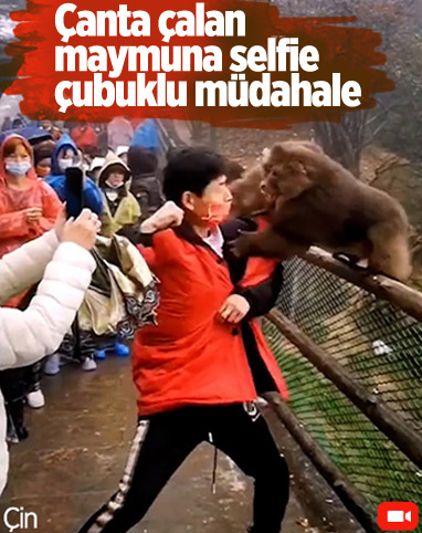 Çin'deki maymun, turistin çantasını çalmaya çalıştı