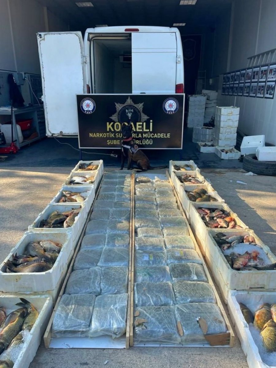İstanbul'da 285, Kocaeli'nde 53 kg uyuşturucu ele geçirildi